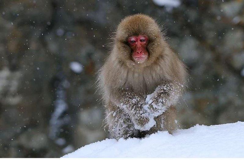 Günün en etkileyici fotoğrafları