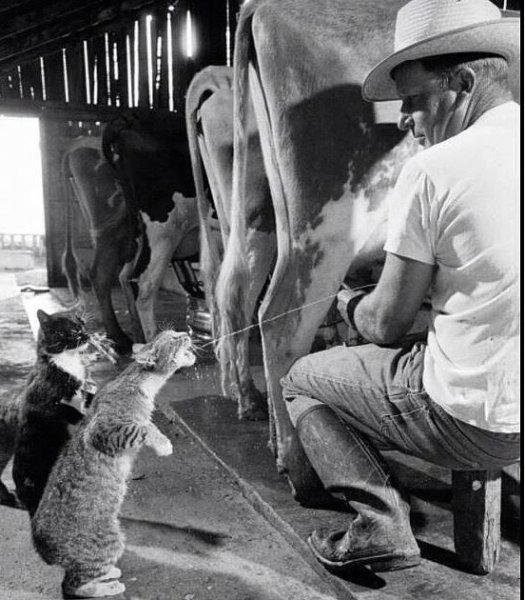 Günün en etkileyici fotoğrafları