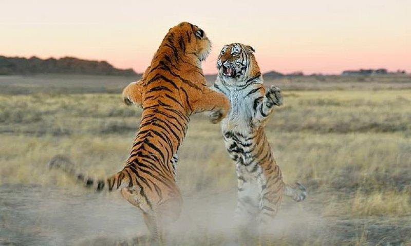 Günün en etkileyici fotoğrafları