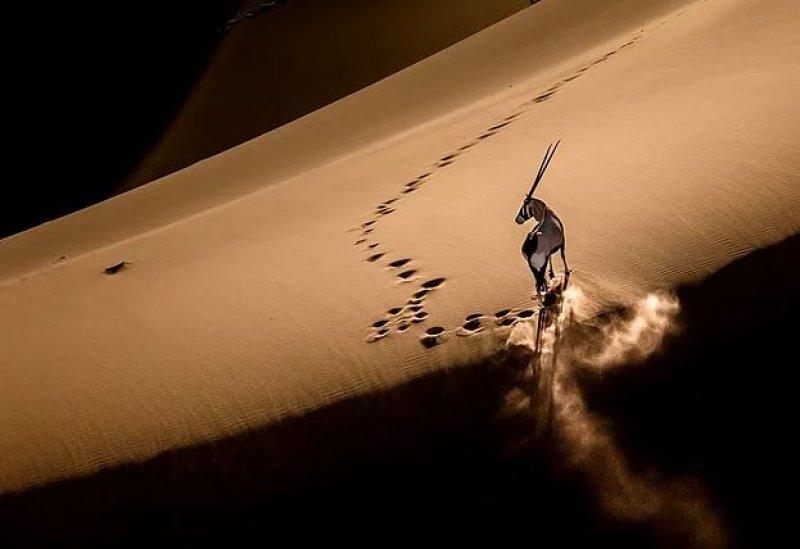 Günün en etkileyici fotoğrafları