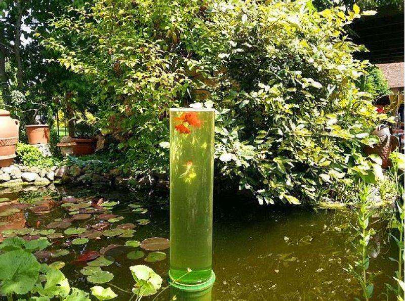 Günün en etkileyici fotoğrafları