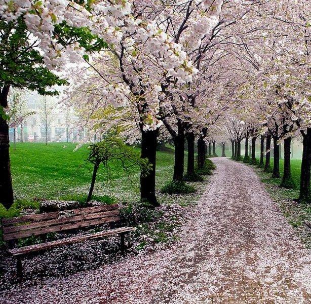 Günün en etkileyici fotoğrafları
