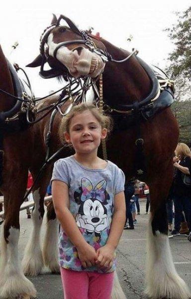 Günün en etkileyici fotoğrafları