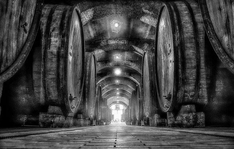 Günün en etkileyici fotoğrafları