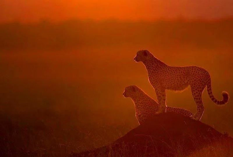 Günün en etkileyici fotoğrafları