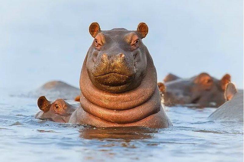 Günün en etkileyici fotoğrafları