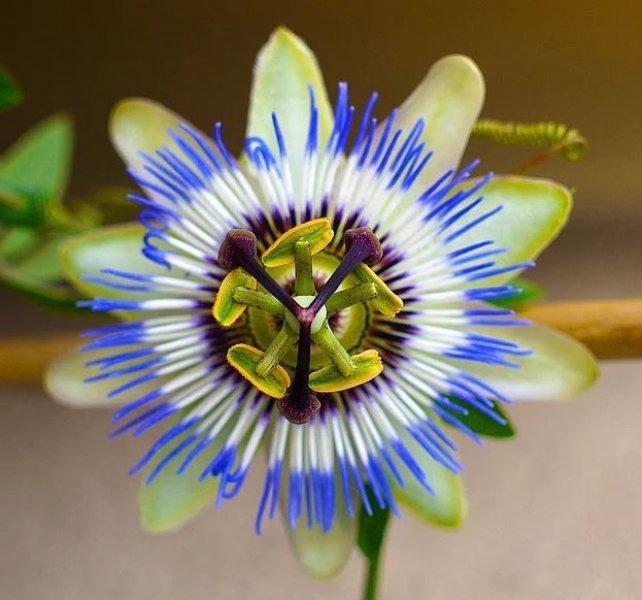 Günün en etkileyici fotoğrafları