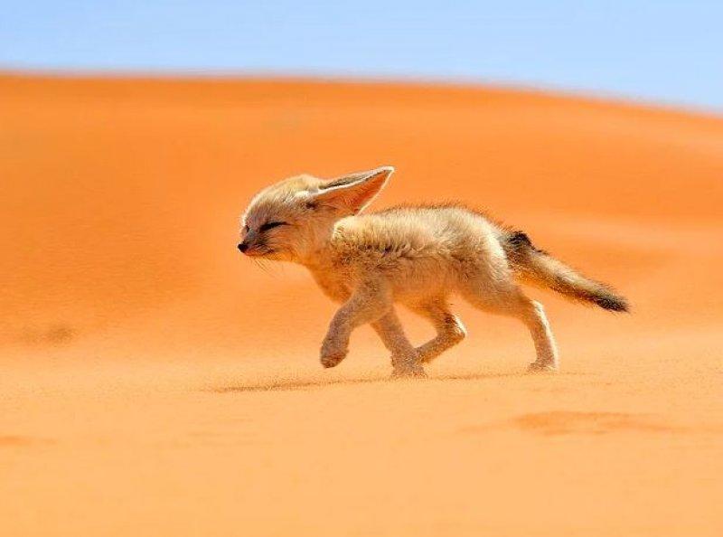 Günün en etkileyici fotoğrafları