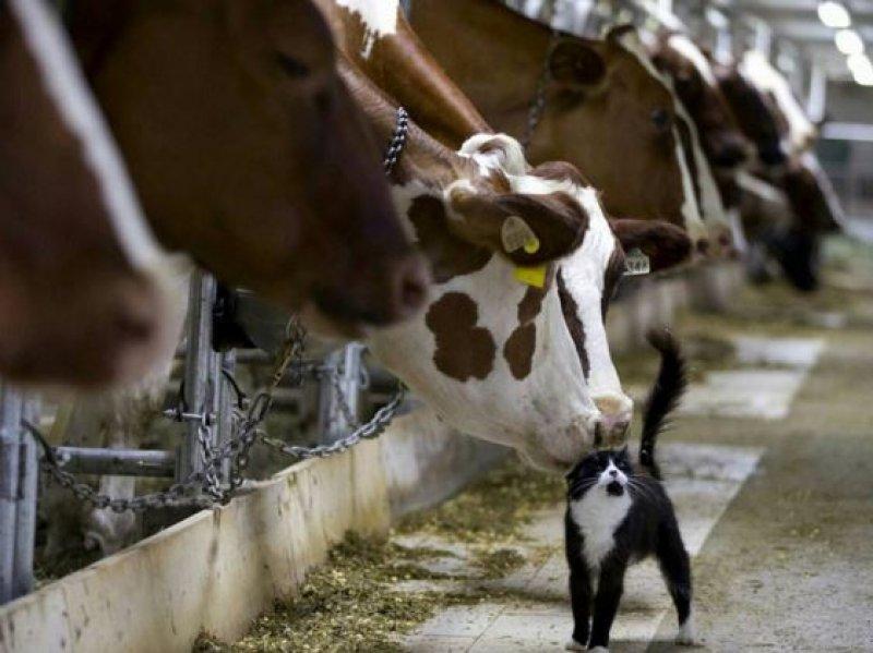 Günün en etkileyici fotoğrafları