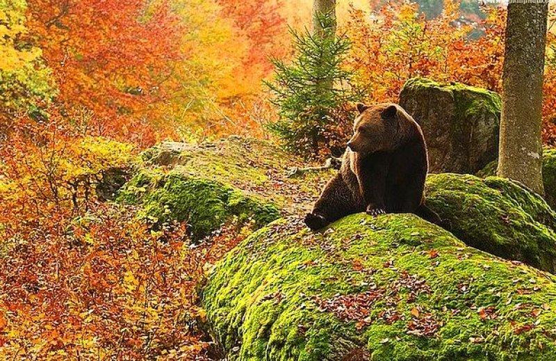 Günün en etkileyici fotoğrafları