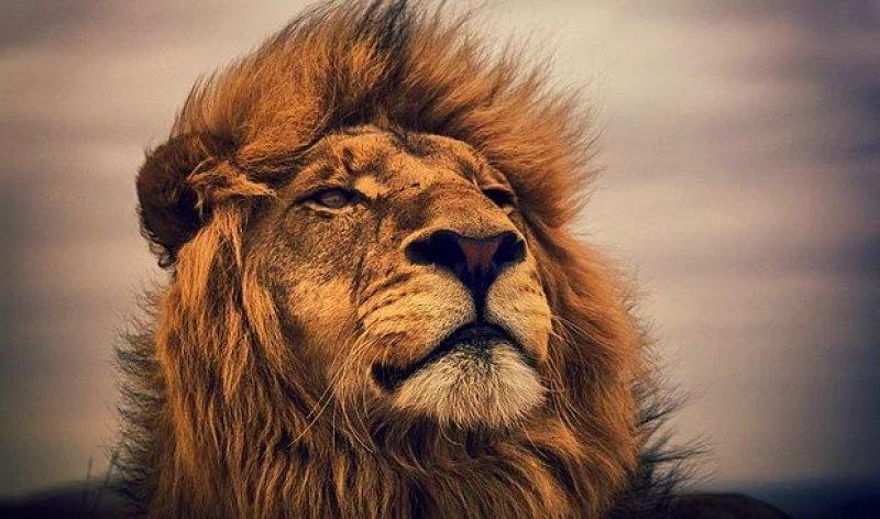 Günün en etkileyici fotoğrafları