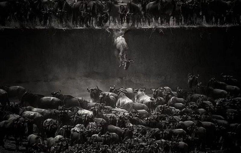 Günün en etkileyici fotoğrafları