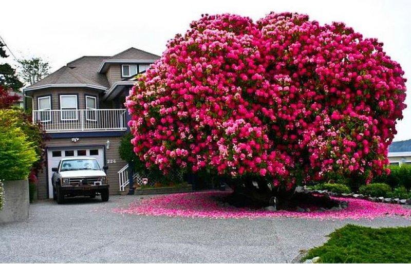 Günün en etkileyici fotoğrafları