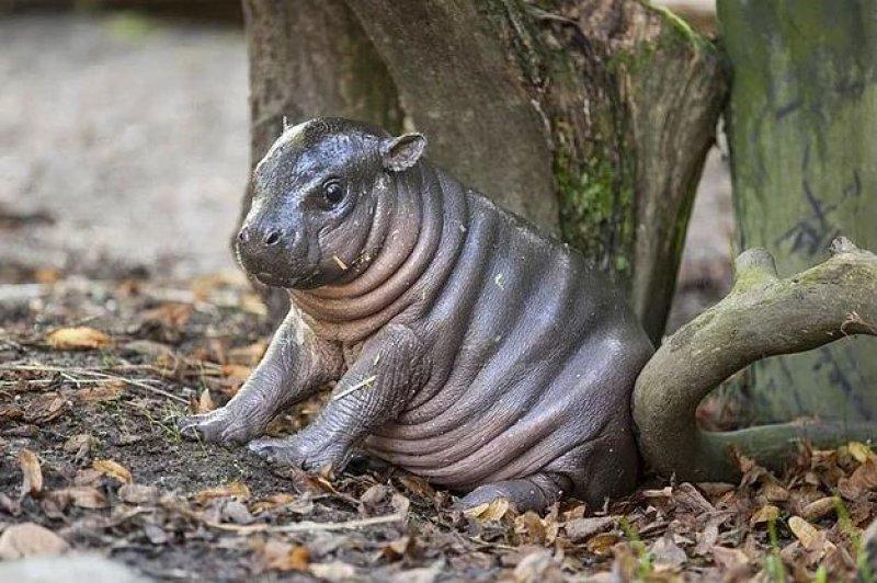 Günün en etkileyici fotoğrafları