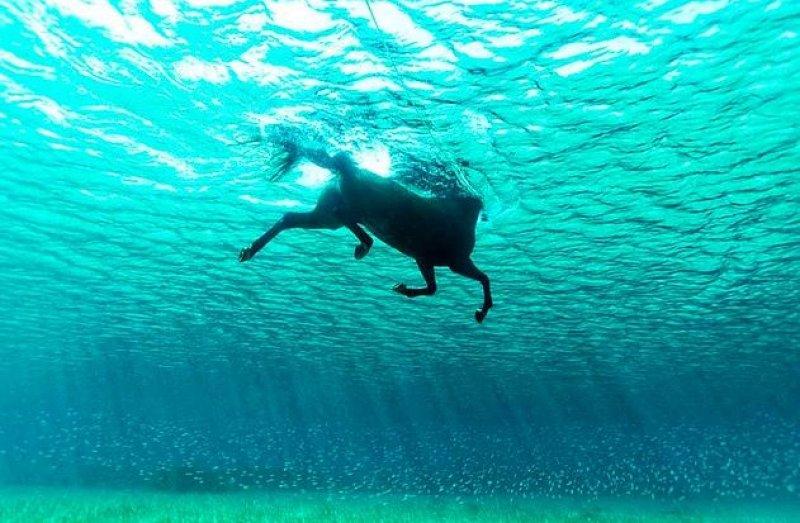 Günün en etkileyici fotoğrafları