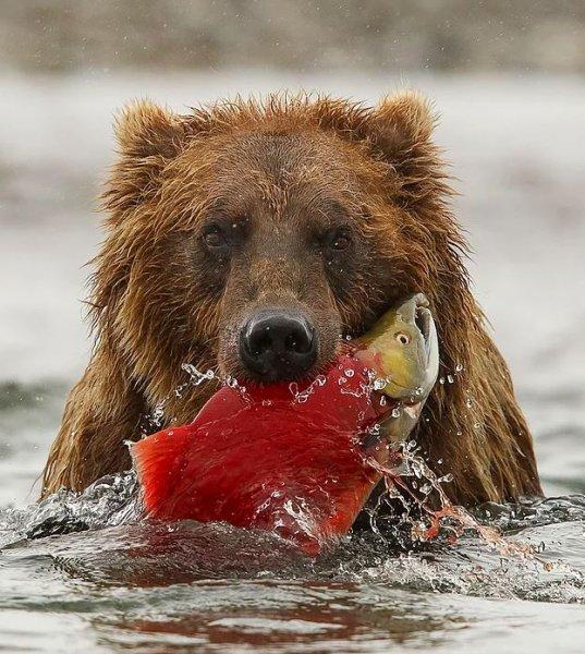 Günün en etkileyici fotoğrafları