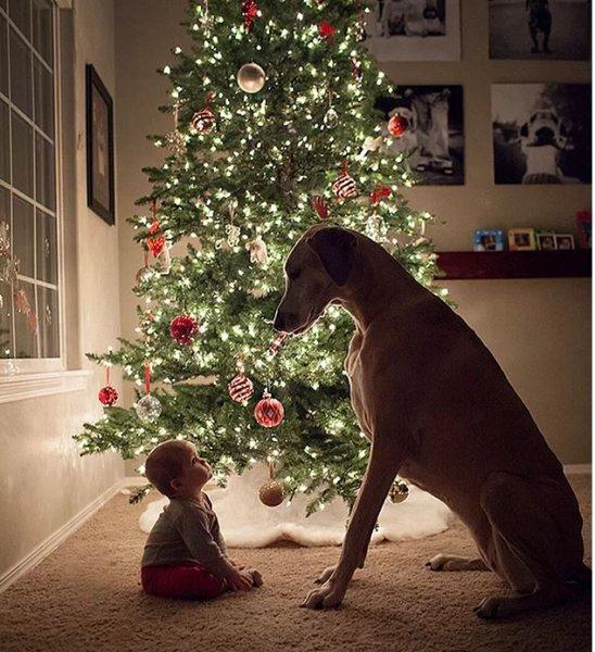 Günün en etkileyici fotoğrafları