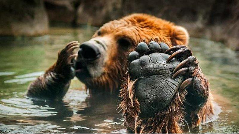 Günün en etkileyici fotoğrafları