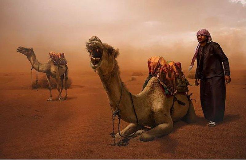 Günün en etkileyici fotoğrafları