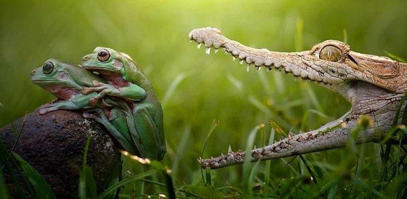 Günün en etkileyici fotoğrafları