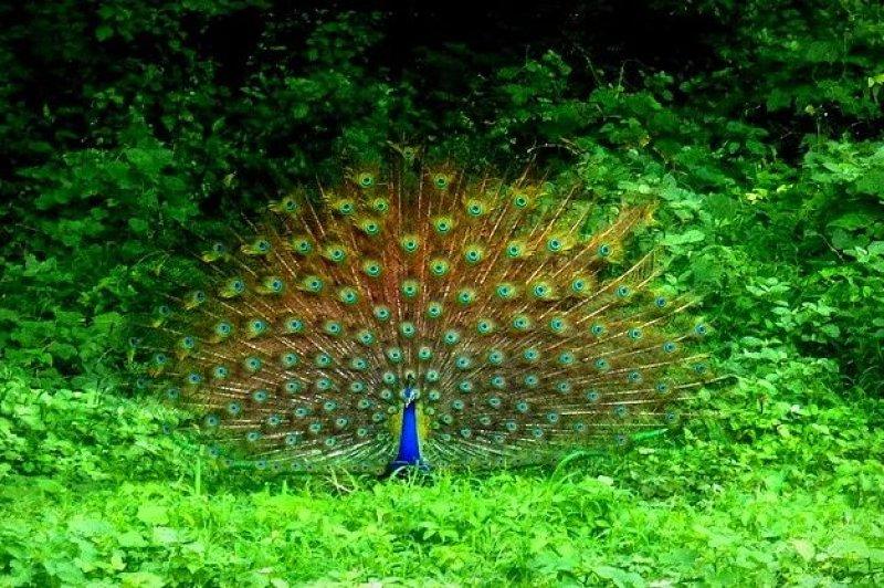 Günün en etkileyici fotoğrafları