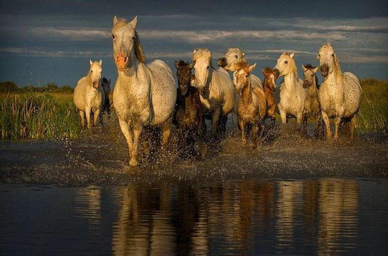 Günün en etkileyici fotoğrafları