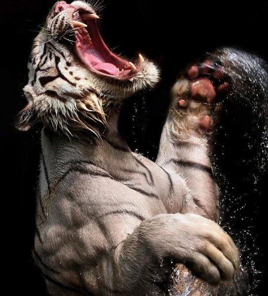 Günün en etkileyici fotoğrafları