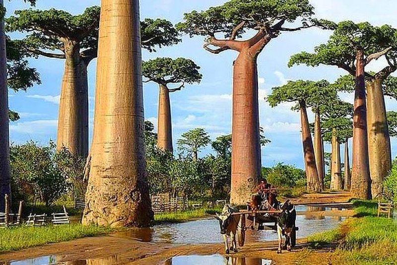 Günün en etkileyici fotoğrafları