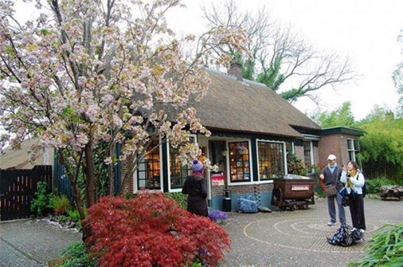 Arabanın yasak olduğu köy: Giethoorn
