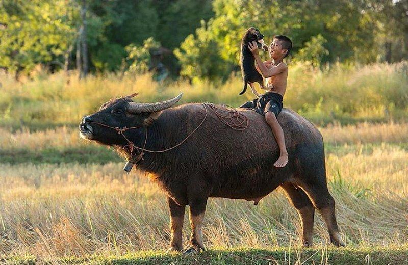 Doğa ile iç içe oyun oynayan çocuklar