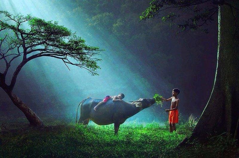 Doğa ile iç içe oyun oynayan çocuklar