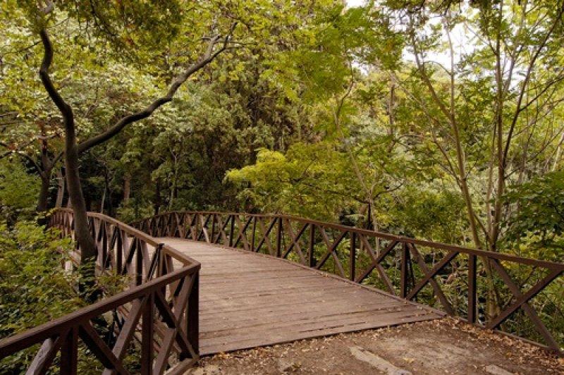 İstanbul'da dış mekan düğün fotoğrafı için en iyi 13 yer