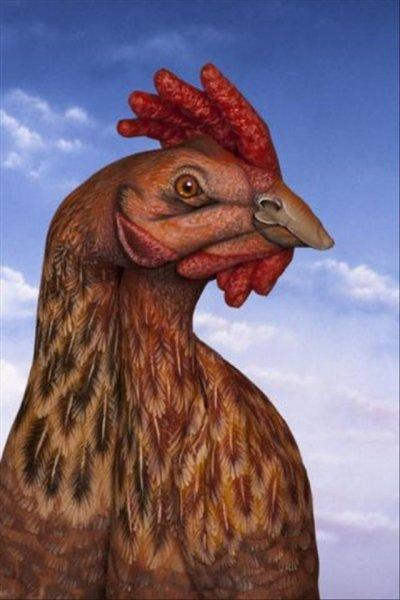 İnsan eline yapılan boyama sanatı 