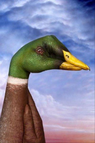 İnsan eline yapılan boyama sanatı 