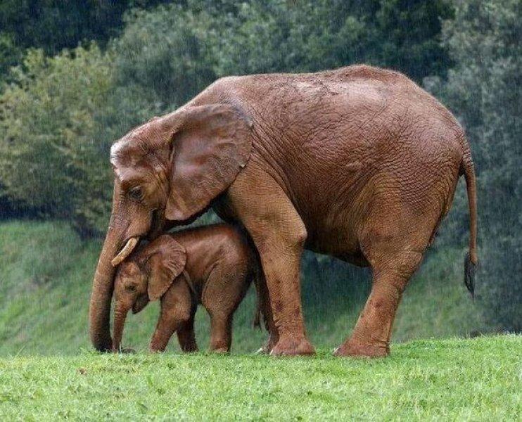 Paylaşılan en güzel fotoğraflar