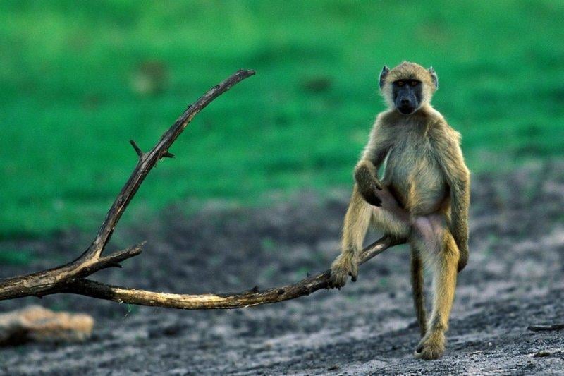 Paylaşılan en güzel fotoğraflar