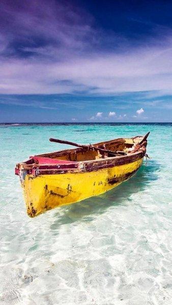 Paylaşılan en güzel fotoğraflar