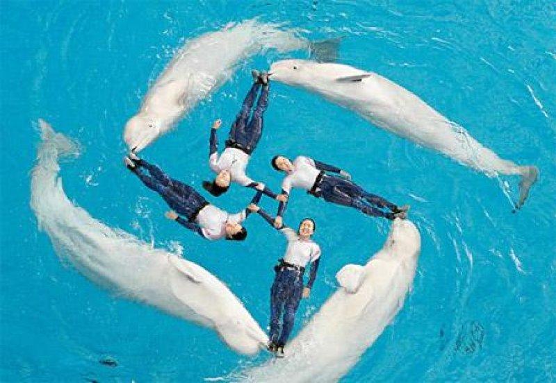 Paylaşılan en güzel fotoğraflar