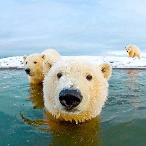 Paylaşılan en güzel fotoğraflar