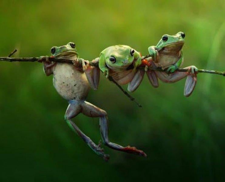 Paylaşılan en güzel fotoğraflar