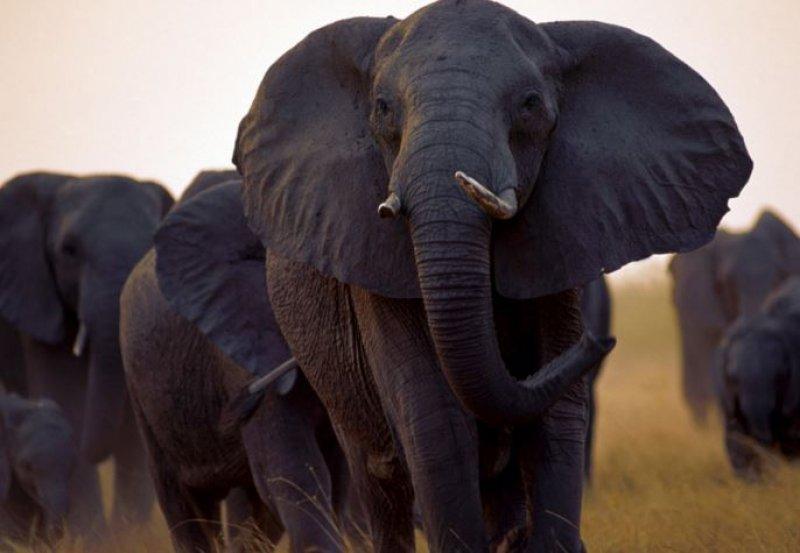 Paylaşılan en güzel fotoğraflar