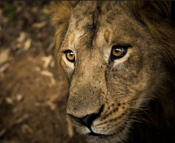 Paylaşılan en güzel fotoğraflar