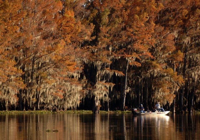 Teksas'ın doğusunda Caddo Gölü hayranlık uyandırıyor 