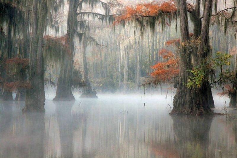 Teksas'ın doğusunda Caddo Gölü hayranlık uyandırıyor 