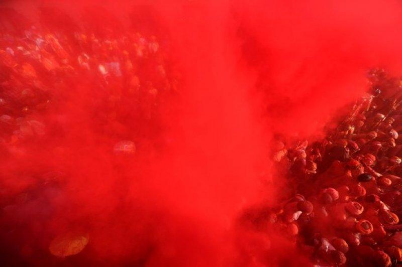 Hindistan'da renklerin bayramı: Holi Festivali
