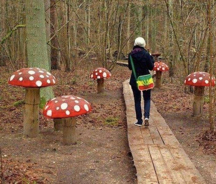 Kütükten yapılan muhteşem tasarımlar 