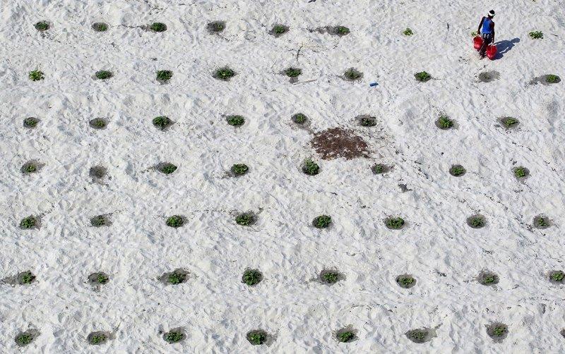 İnsanların temiz su bulabilmeleri çabaları 