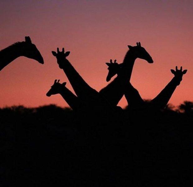 National Geographic Türkiye'den en güzel fotoğraflar 