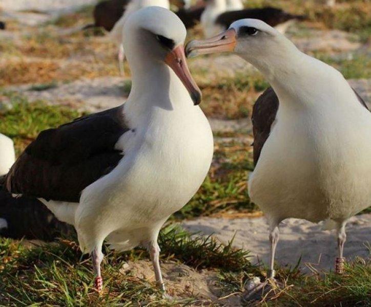 National Geographic Türkiye'den en güzel fotoğraflar 