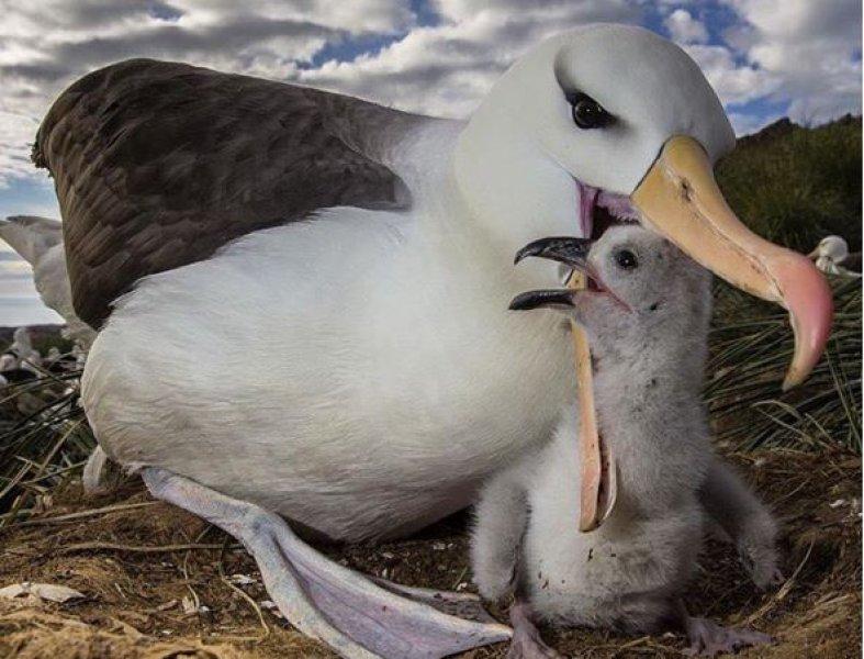 National Geographic Türkiye'den en güzel fotoğraflar 